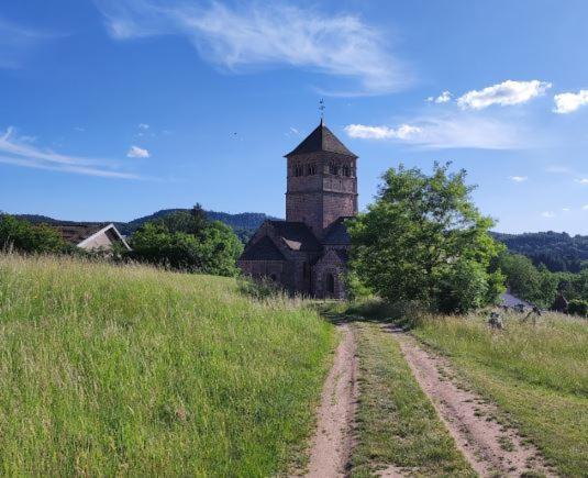 Chez Gigi Et Malou - Gite Brimbelle Champ-le-Duc Екстер'єр фото